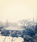 th_IMG_1823