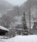 th_IMG_1879