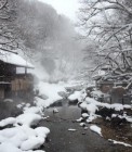 th_IMG_1884