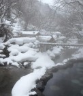 th_IMG_1885