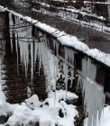 th_IMG_1887