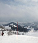 th_IMG_1931