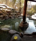 th_IMG_1934