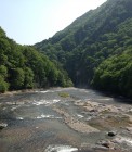 IMG_2340