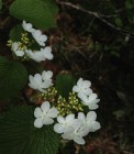 IMG_2416
