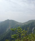 IMG_2417