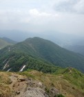 IMG_2438