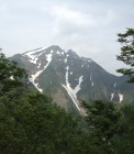 IMG_2439