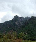 IMG_2520