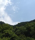 IMG_2593