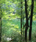 IMG_2729