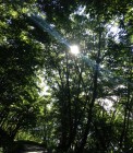 IMG_2943
