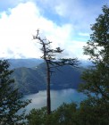 IMG_2951