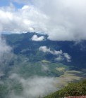 IMG_2955