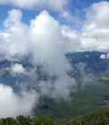 IMG_2956