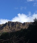 IMG_2054