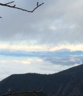 IMG_2097