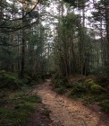 IMG_2100