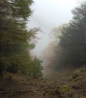 IMG_2103