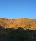 IMG_2158