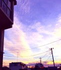 IMG_2341