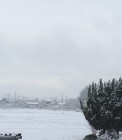 IMG_2575
