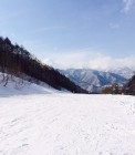 IMG_2616