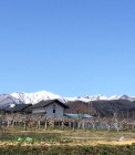 IMG_2840