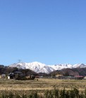 IMG_2846