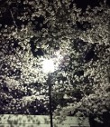 IMG_2865