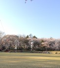 IMG_2891