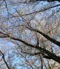 IMG_2892