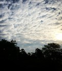 IMG_5135