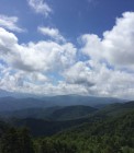 IMG_3686