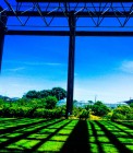 IMG_5588